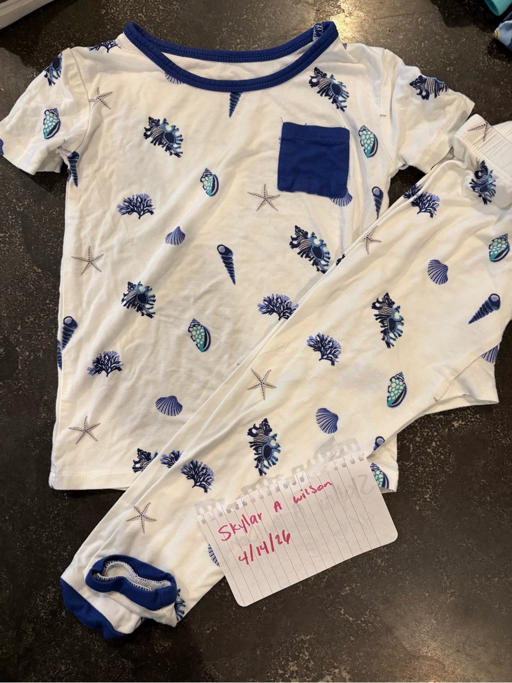 Kyte BABY royal shells